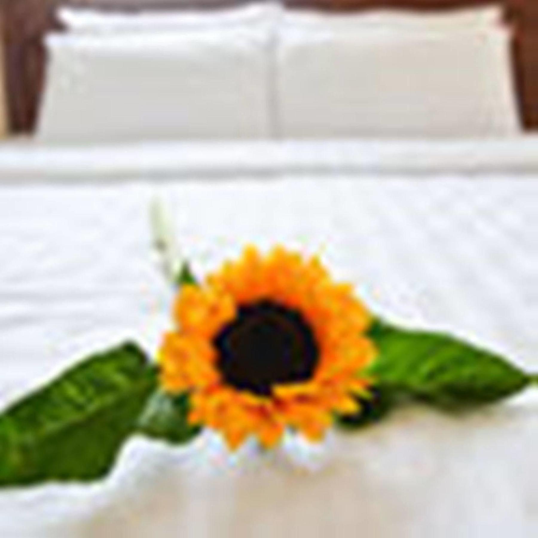 Fulmar Hotel Đà Nẵng Kültér fotó